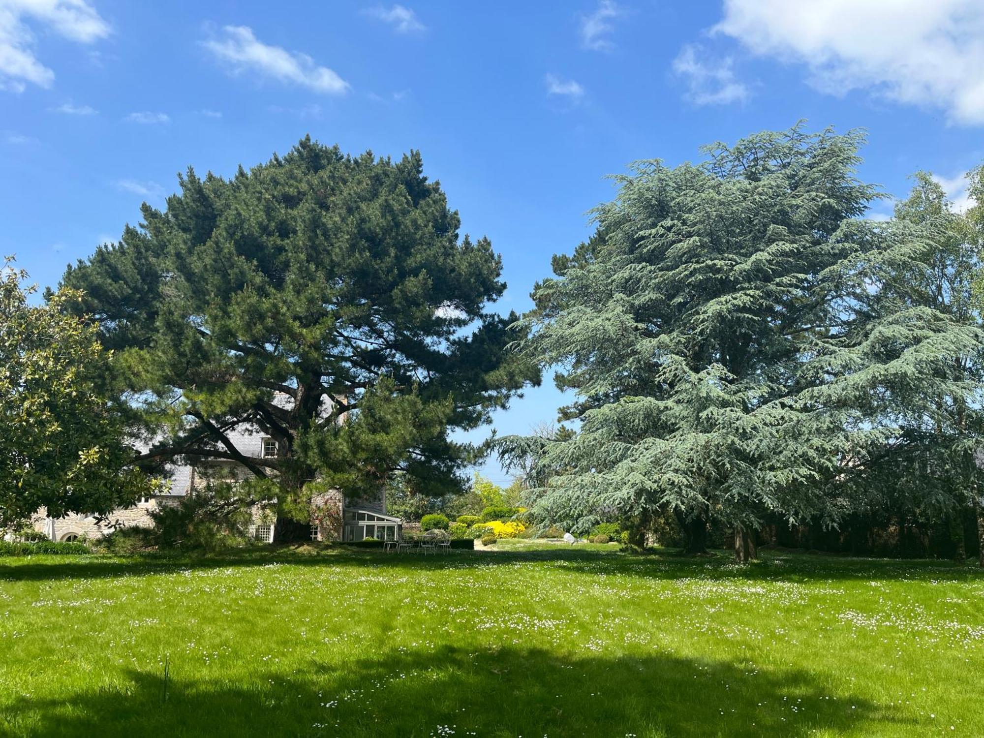 Manoir Des Bords De Rance Bed & Breakfast Plouer-sur-Rance ภายนอก รูปภาพ