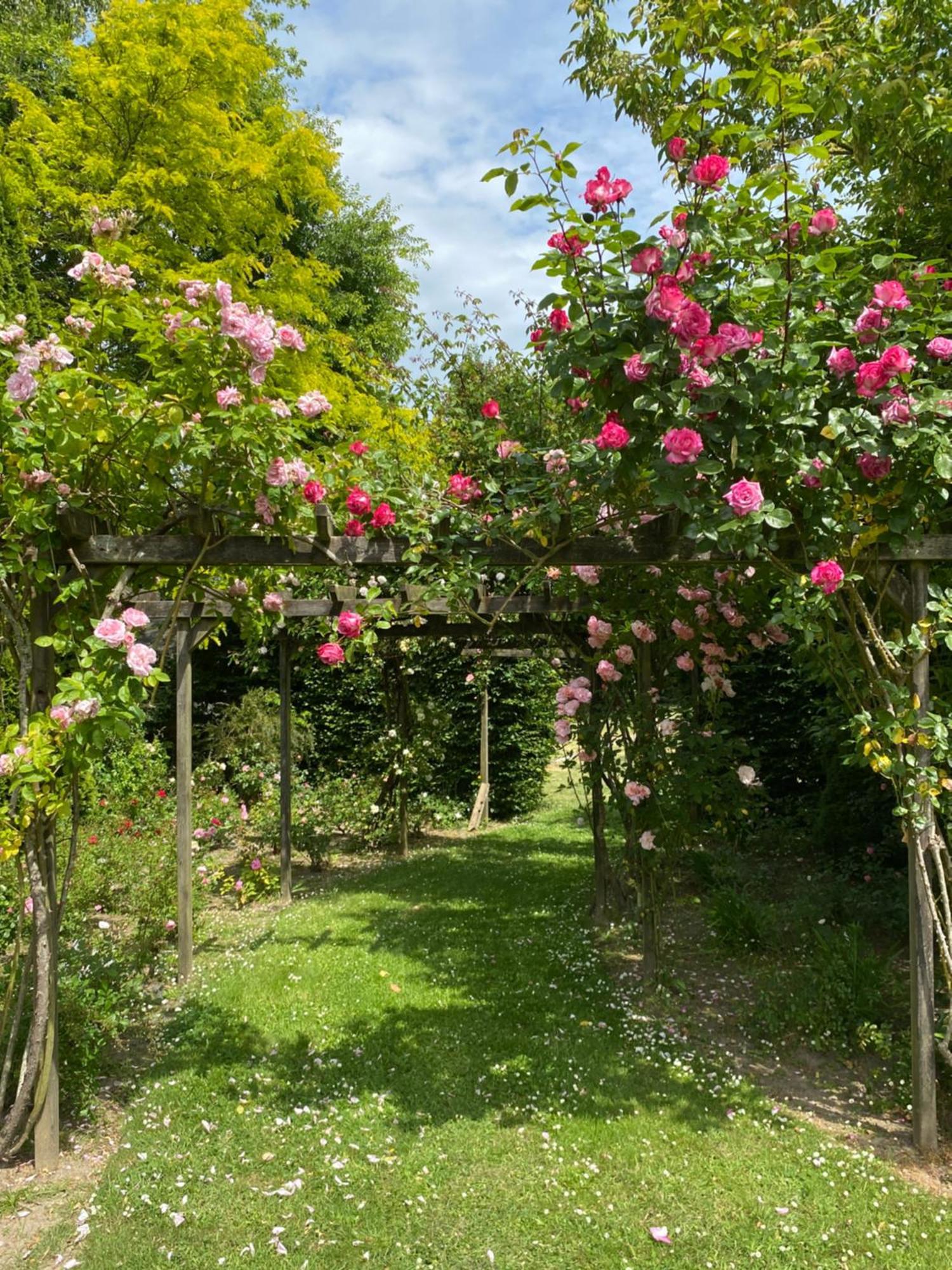 Manoir Des Bords De Rance Bed & Breakfast Plouer-sur-Rance ภายนอก รูปภาพ